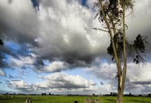 亚博究竟是什么，为何要远离它？